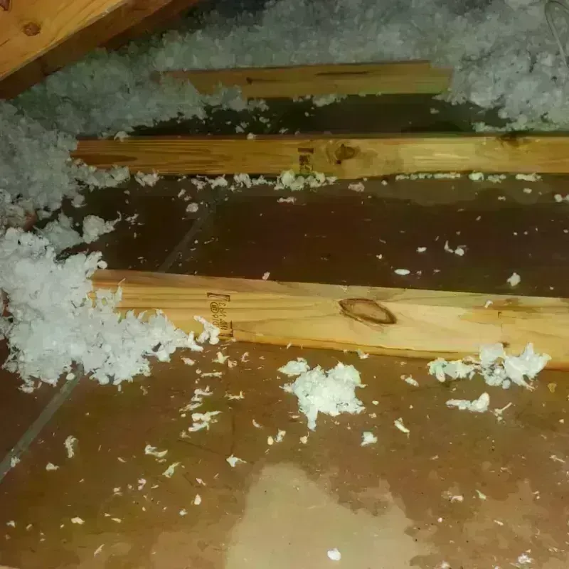 Attic Water Damage in Lafayette, IN