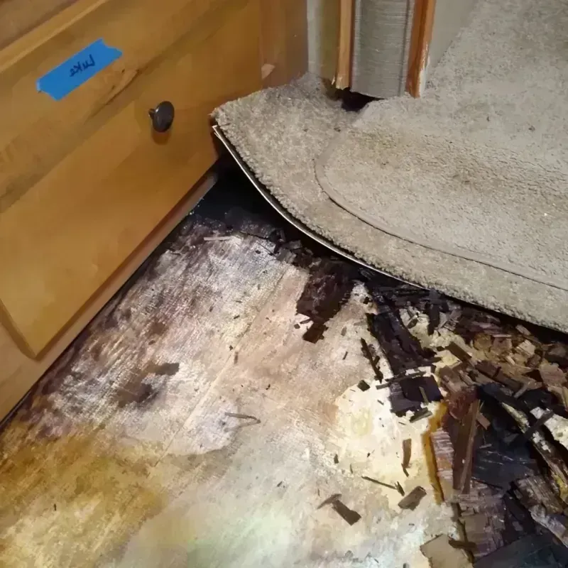 Best Wood Floor Water Damage Service in Lafayette, IN